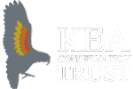Kea Conservation logo